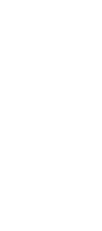 Amigos del Recreo